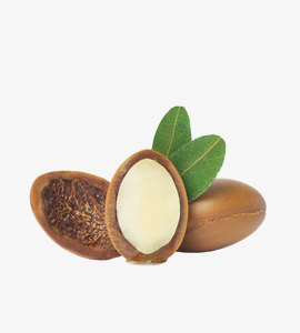 Avacardo